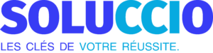 Logo soluccio web